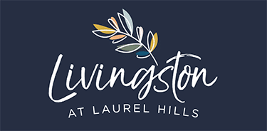 IMG livingston 2 IMG livingston 2
